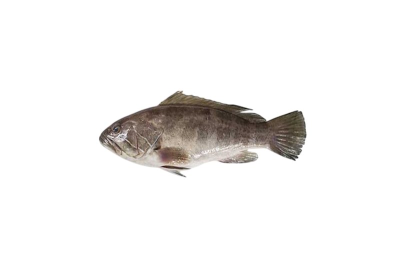 lahoz